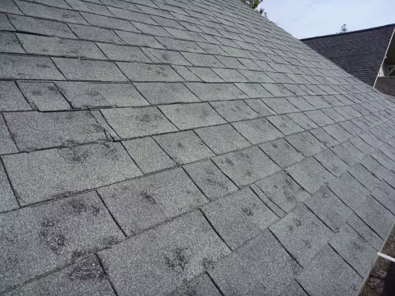 hail-damage-roof (1) Asphalt shingle roof with visible wear being evaluated for roof repair