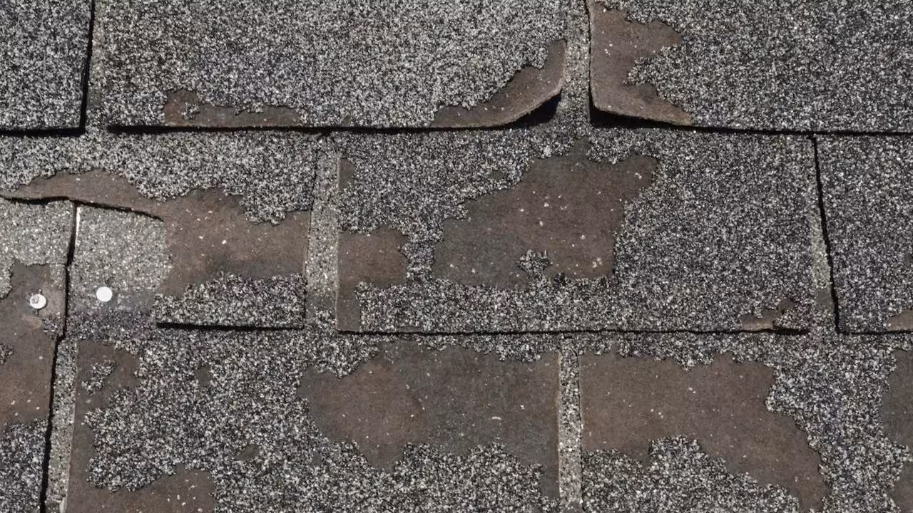 granule loss and worn asphalt shingles on a denver metro area home inspected by ecoshield exteriors